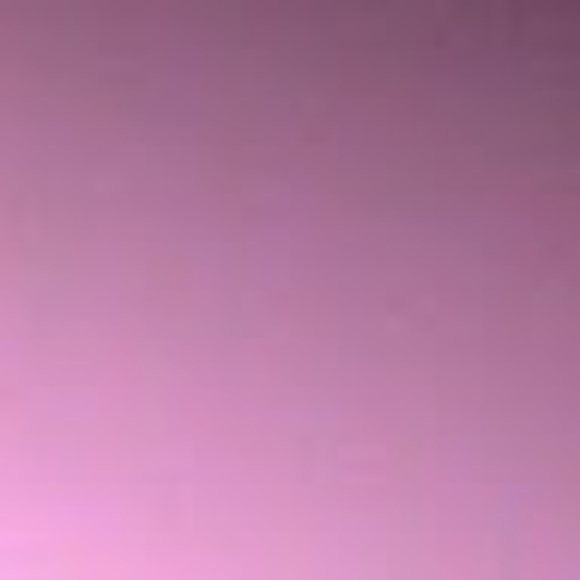 Meet your Posher, Rae - Picture 1 of 1